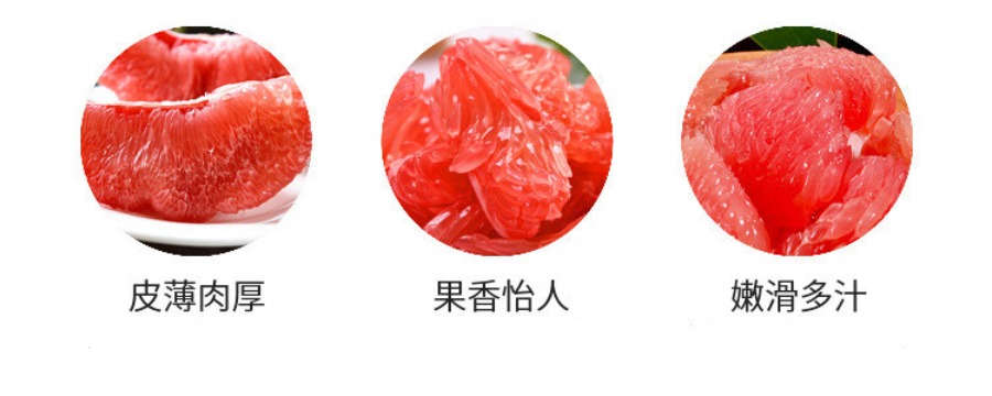 正宗三红蜜柚苗价格